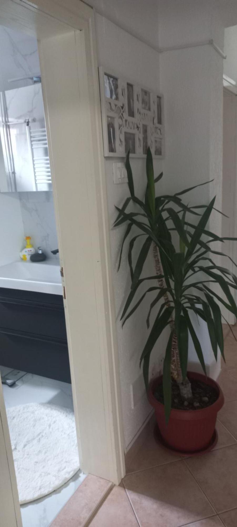 Holiday Home Peaceful Retreat ヴィソコ エクステリア 写真