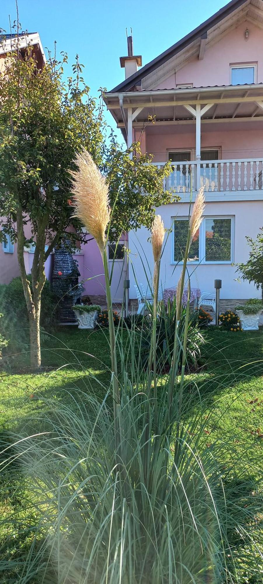 Holiday Home Peaceful Retreat ヴィソコ エクステリア 写真